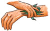 Growing Joe-Pye Weed in the Herb Garden Image
